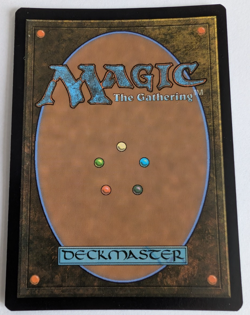 Spire Garden (Surge Foil) 75 R Commander: Teenage Mutant Ninja Turtles NM - Image 2