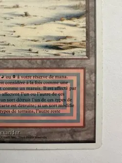 Desolation Dual Land Mtg Badlands Magic The Gathering French Mtg - Image 4