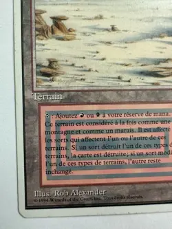 Desolation Dual Land Mtg Badlands Magic The Gathering French Mtg - Image 5