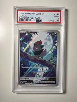 Pokemon Zorua 142/086 Sv: White Flare Illustration Rare Holo PSA 9 - Image 1