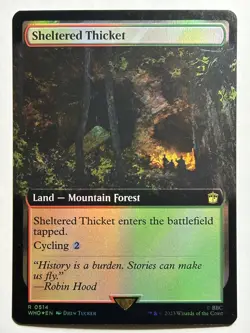 Sheltered Thicket (Extended Art) Universes Beyond: Doctor Who 514 Foil MTG LP-NM - Image 1