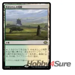 Japanese Windswept Heath M/NM Magic: The Gathering MTG Modern Horizons 3 - Image 1