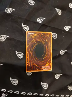 Yu-Gi-Oh! TCG Red-Eyes Black Dragon Holo Rare Card SDJ-001 - Image 4