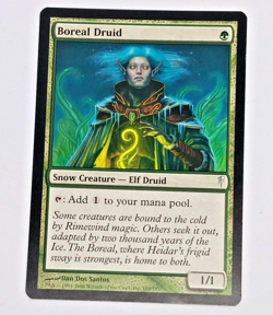 Magic The Gathering - Boreal Druid - MTG - 2006 Coldsnap 105/155 LP - Image 1