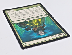 Magic The Gathering - Boreal Druid - MTG - 2006 Coldsnap 105/155 LP - Image 4