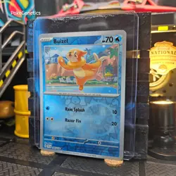 Buizel Scarlet & Violet Reverse Holo Pokemon TCG 046/198 SV01 Common - Image 2