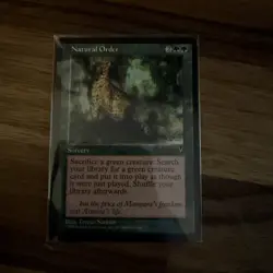 Natural Order, Visions, Light Play, Excellent Condition, MTG - Image 1