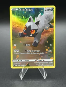 Poochyena GG33/GG70 * HOLO* Crown Zenith: Galarian Gallery Pokemon TCG - Image 1