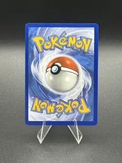 Poochyena GG33/GG70 * HOLO* Crown Zenith: Galarian Gallery Pokemon TCG - Image 2