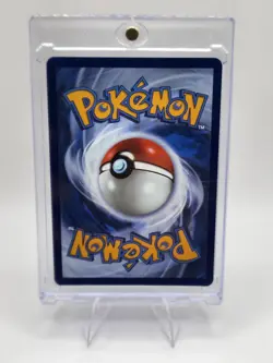 Pokemon TCG MEP Basic Holo Lot Chimchar, Piplup, Turtwig, Litten, 2026, 4 Cards - Image 4