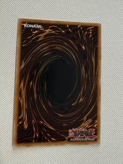 Dracotail Phryxul - DOOD-EN023 ( Secret Rare) 1st Ed - NM - YU-GI-OH! - Image 2