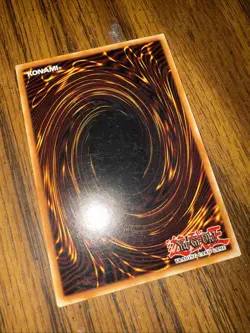 Feast of the Wild LV5 - DUEA-EN056 - Common - 1st Edition NM YuGiOh! - Image 4