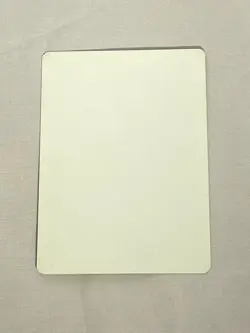 MTG Saproling Cluster Artist Proof and Signature Signed Cavotta - Image 2