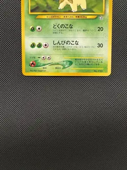 Pokemon TCG Japanese Bayleef No. 153 Neo Premium File 1 Promo Rare Near Mint - Image 4