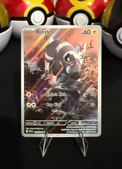 Pokemon - Blitzle - 114/086 SV: White Flare - Illustration Rare - Image 1