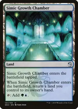 Simic Growth Chamber - Light Play MTG Ravnica Allegiance: Guild Kits - Image 1