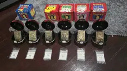 Burger King PROMO GOLD Pokemon Cards FULL SET Boxes Authenticity - Image 1