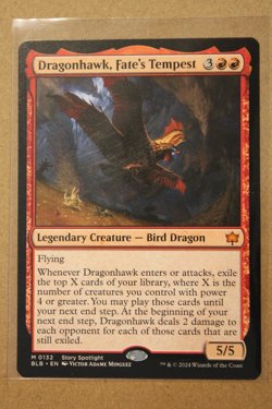 Dragonhawk, Fate's Tempest Bloomburrow Foil MTG TCG Near Mint - Image 1