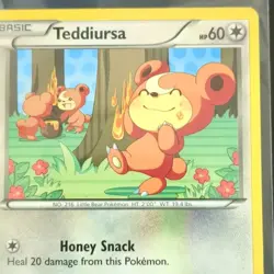 Pokemon TCG Teddiursa RC15/RC25 Legendary Treasures 2013 Basic Regular Card - Image 2