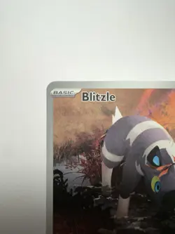 Pokemon TCG Blitzle Illustration Rare Holo Sv: White Flare 114/086 English 2025 - Image 2
