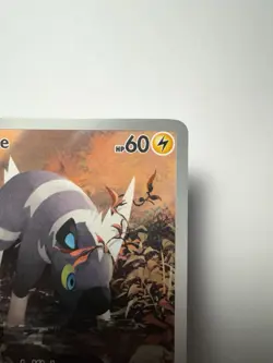 Pokemon TCG Blitzle Illustration Rare Holo Sv: White Flare 114/086 English 2025 - Image 3