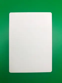 **Chain Lightning Artist Proof Signed** MTG Legends Signed by Sandra Everingham - Image 2