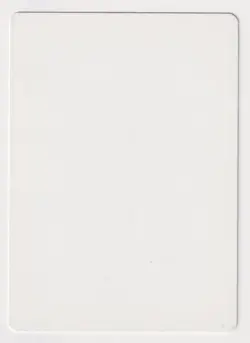 Signed Japanese Erg Raiders Proof LP 4th FBB Artist Dameon Willich MTG Magic AP! - Image 2