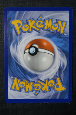 Pokemon XY Promo M Gengar EX XY166 - Image 3