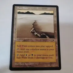 MTG Magic the Gathering Salt Flats (324/350) Tempest LP - Image 1