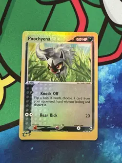 NM Poochyena Reverse Holo 64/109 Ruby and Sapphire Pokemon Card - Image 1