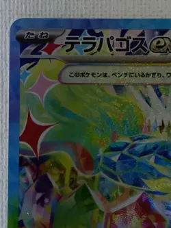Terapagos ex SAR 226/187 SV8a Terastal Fest ex Pokemon Card Japanese (Near Mint) - Image 2