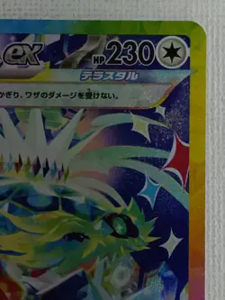 Terapagos ex SAR 226/187 SV8a Terastal Fest ex Pokemon Card Japanese (Near Mint) - Image 3