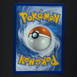 Eevee SWSH095 - Black Star Promo - Pokemon Card - Image 4
