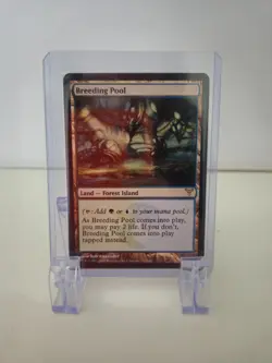 Breeding Pool – Dissension (2006) – Non-Foil – LP/NM- - Image 1