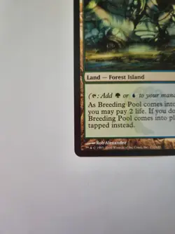 Breeding Pool – Dissension (2006) – Non-Foil – LP/NM- - Image 5