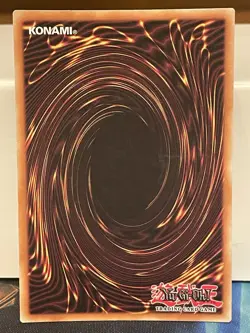 Magician Of Black Chaos MAX - TN19-EN002 - Prismatic Secret Rare -Limited Ed.-LP - Image 2