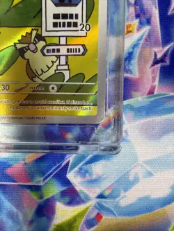 Pokemon TCG Pidgey SV03: Obsidian Flames 207/197 Holo Illustration Rare - Image 2