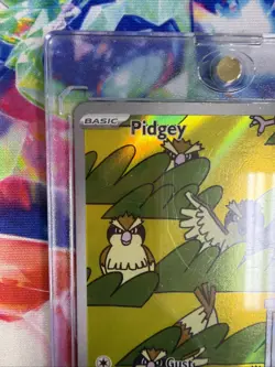 Pokemon TCG Pidgey SV03: Obsidian Flames 207/197 Holo Illustration Rare - Image 4