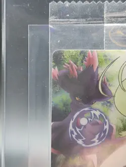 Pokemon Kellogg's Bromide - TOGEKISS - Zoroark Master of Illusions Sealed NM - Image 5