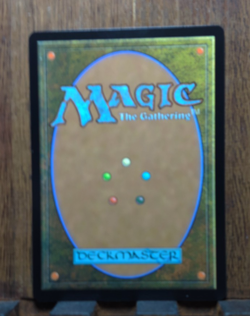 Omniscience - [Foil, Showcase] Wilds of Eldraine: Enchanting Tales (WOT) MINTY ! - Image 4