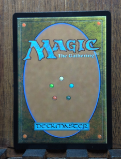 Omniscience - [Foil, Showcase] Wilds of Eldraine: Enchanting Tales (WOT) MINTY ! - Image 5