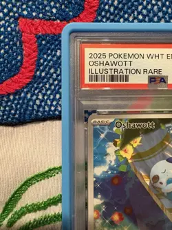 Pokemon TCG SV White Flare Oshawott #105 Illustration GEM MT PSA 10 SHIPS FAST - Image 3