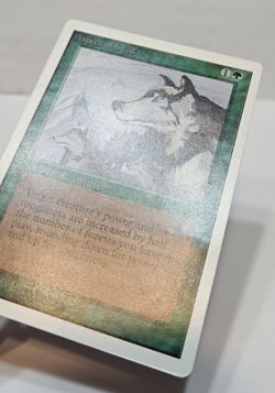 Aspect of Wolf Unlimited MTG Magic The Gathering 7523 - Image 3