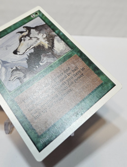 Aspect of Wolf Unlimited MTG Magic The Gathering 7523 - Image 5