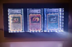 Eeveelution 8.5 Graded Set w/ Case Jungle Set 1999 Holo Jolteon Flareon Vaporeon - Image 1