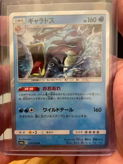 Gyarados Holo - 016/053 SM6a Dragon Storm Near Mint - Japanese Pokemon Card - Image 2