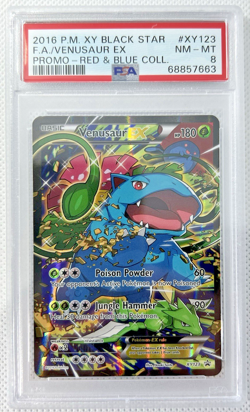 2016 POKEMON XY BLACK STAR PROMO XY123 FULL ART/VENUSAUR EX RED & BLUE PSA 8 - Image 1
