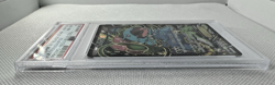 2016 POKEMON XY BLACK STAR PROMO XY123 FULL ART/VENUSAUR EX RED & BLUE PSA 8 - Image 5