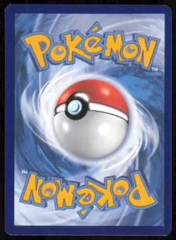 Oshawott SWSH222 Black Star Promo Holo Rare Pokemon Card TCG - NM Near Mint - Image 2