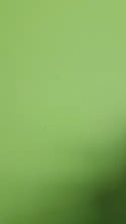 MTG NATURAL ORDER x1, Visions. Unplayed. PRE MODERN, Commander - Image 2